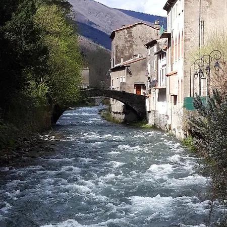 Le Marronnier Apartment Valleraugue